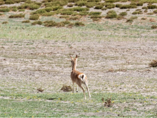 1609118935272143.png image.png