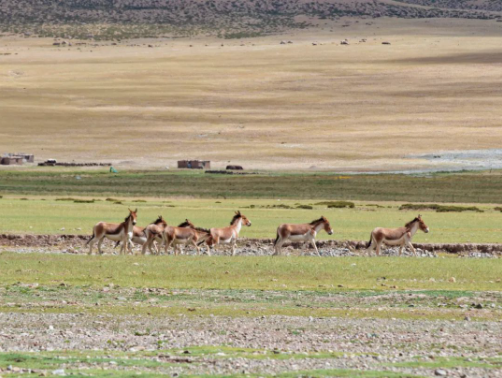 1609118953305452.png image.png