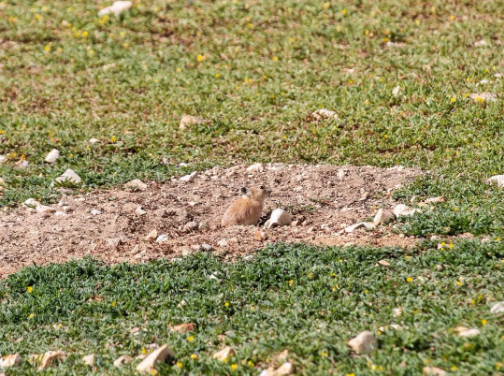 1609118969424872.png image.png